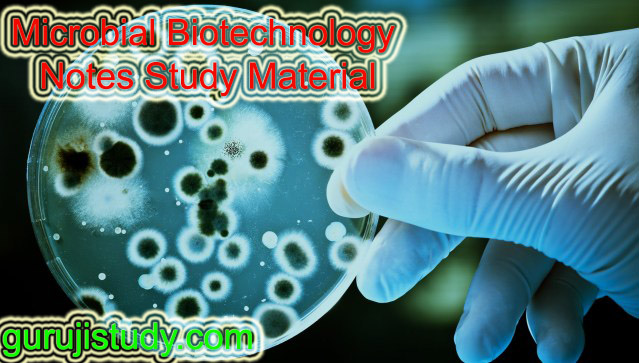 BSc Microbial Biotechnology Notes and Study Material
